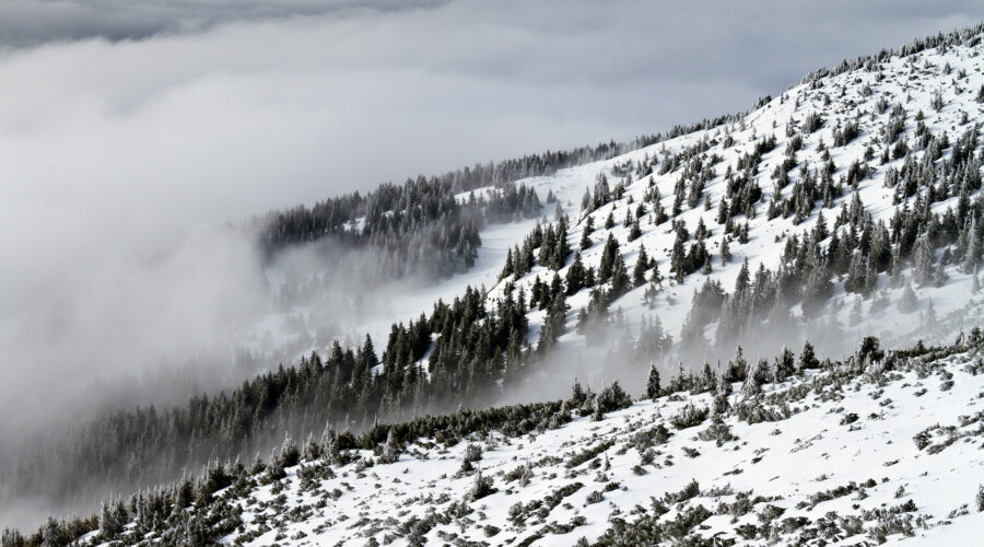 photo-1447876394678-42a7efa1b6db